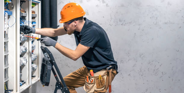 Best Electrical Repair Services  in Allendale, CA