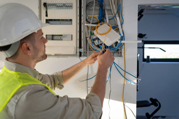 Best Ceiling Fan Installation Electrician  in Allendale, CA